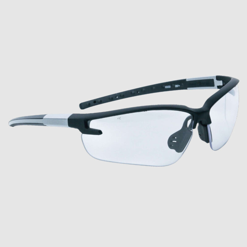 Delta Plus Fuji2 Clear Safety Glasses